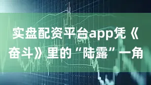 实盘配资平台app凭《奋斗》里的“陆露”一角