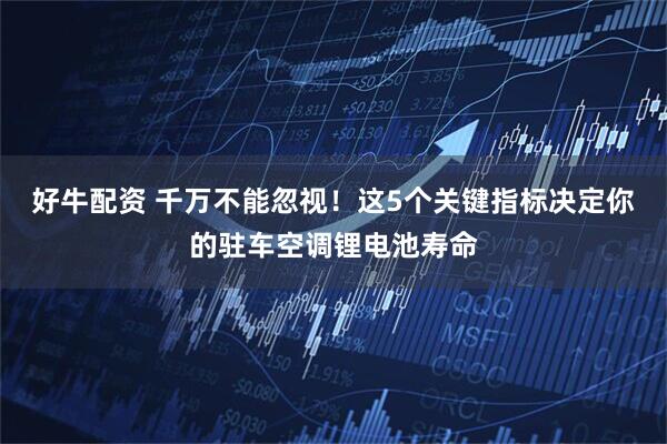 好牛配资 千万不能忽视！这5个关键指标决定你的驻车空调锂电池寿命