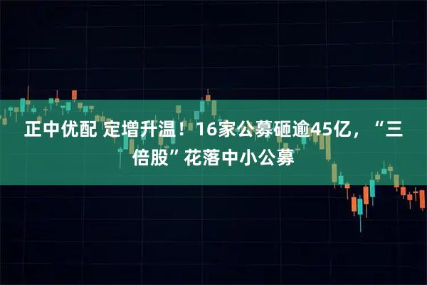 正中优配 定增升温！16家公募砸逾45亿，“三倍股”花落中小公募
