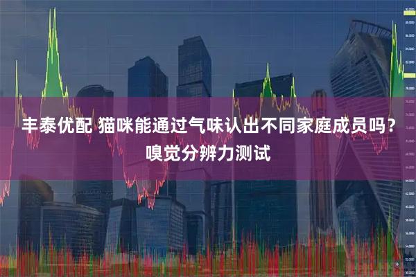 丰泰优配 猫咪能通过气味认出不同家庭成员吗？嗅觉分辨力测试