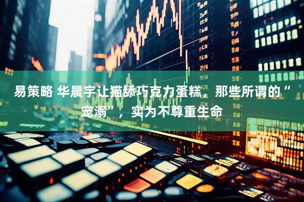 易策略 华晨宇让猫舔巧克力蛋糕，那些所谓的“宠溺”，实为不尊重生命